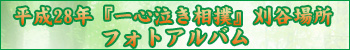 平成28年一心泣き相撲フォトアルバム